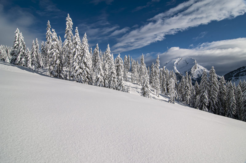 Plateau de Beauregard