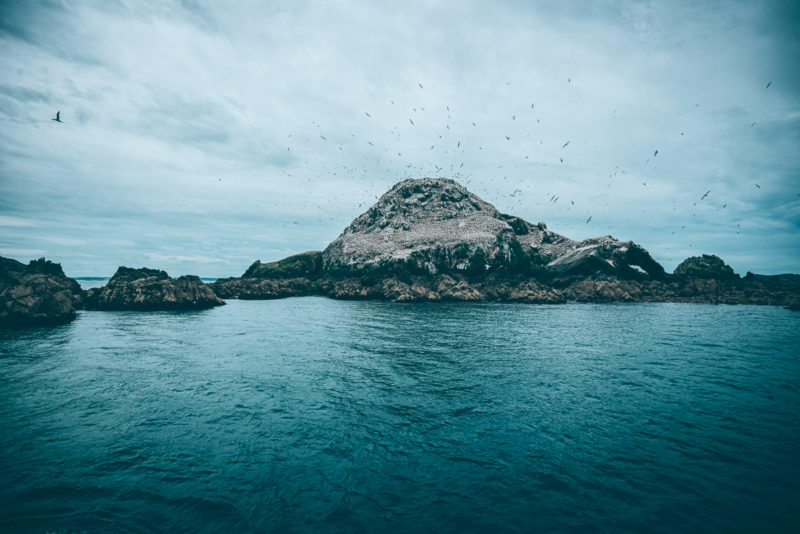 Ile Rouzic - Bretagne