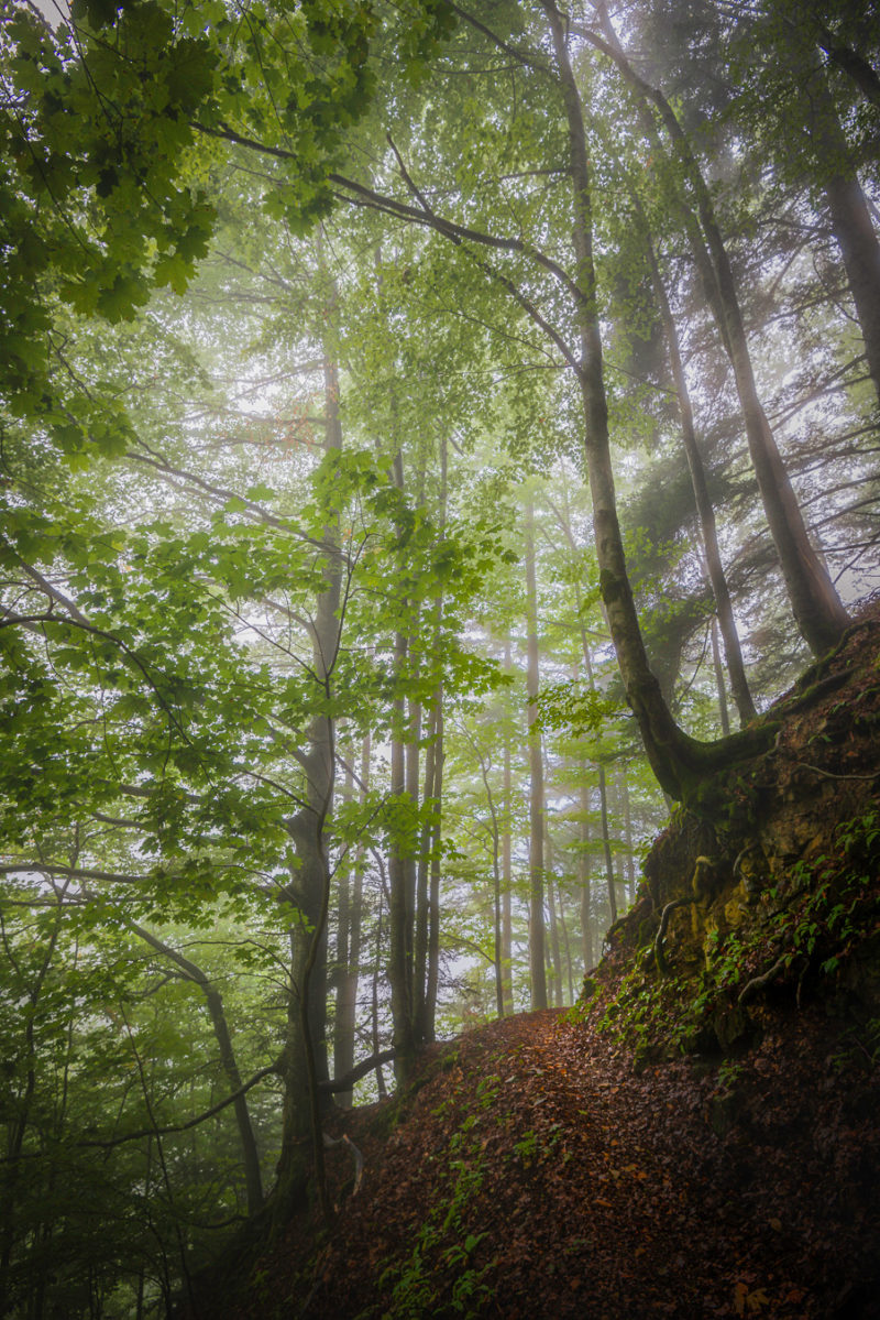 Paysage dans le cirque des Varos