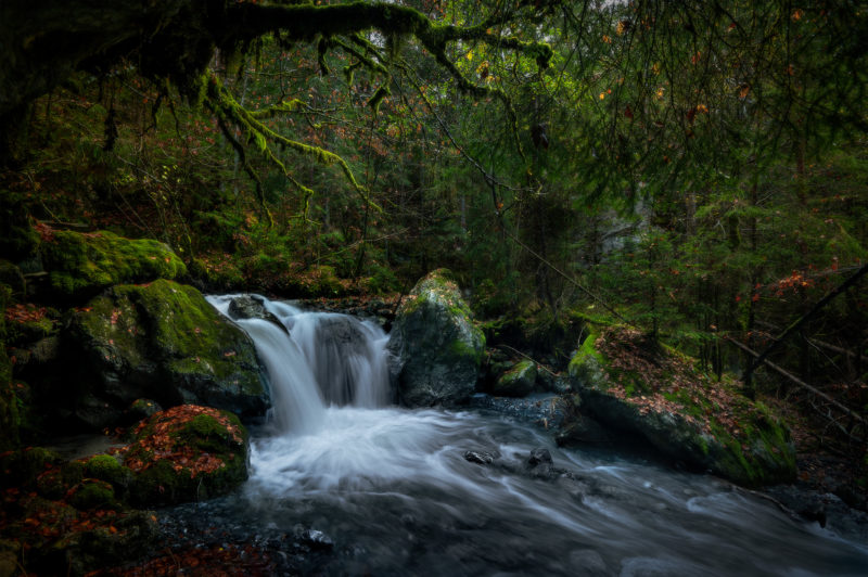 Le Fier - Haute Savoie